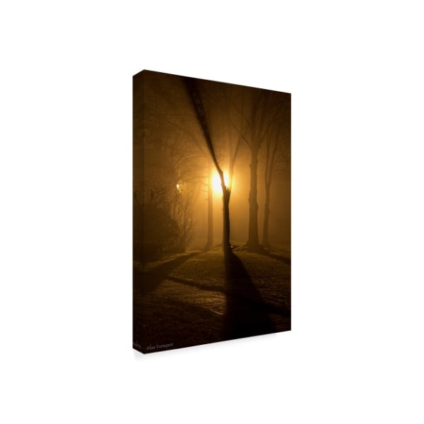 Ian Tornquist 'Light Through The Mist' Canvas Art,12x19
